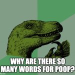 Think about it | WHY ARE THERE SO MANY WORDS FOR POOP? | image tagged in accurate philosoraptor | made w/ Imgflip meme maker