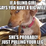 Suspicious Dog | IF A BLIND GIRL SAYS YOU HAVE A BIG WILLY; SHE’S PROBABLY JUST PULLING YOUR LEG. | image tagged in suspicious dog | made w/ Imgflip meme maker
