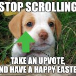 Free upvote to cure depression | STOP SCROLLING; TAKE AN UPVOTE, AND HAVE A HAPPY EASTER | image tagged in dog puppy bye,upvote,memes,funny | made w/ Imgflip meme maker