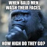Bald Faces | WHEN BALD MEN WASH THEIR FACES, HOW HIGH DO THEY GO? | image tagged in thinking ape | made w/ Imgflip meme maker