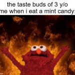 idk why mint taste better than before | the taste buds of 3 y/o me when i eat a mint candy: | image tagged in elmo maligno,funny,dank memes,candy | made w/ Imgflip meme maker