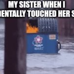 sot | MY SISTER WHEN I ACCIDENTALLY TOUCHED HER STUFF:; SHE'S GARBAGE NGL | image tagged in gifs,sonic the hedgehog | made w/ Imgflip video-to-gif maker