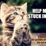 Help The Poor Cat | HELP ME! I AM STUCK IN A MEME! If this meme gets 20 upvotes and 30 comments the cat will be free! | image tagged in praying cat,stuck,memes,help | made w/ Imgflip meme maker