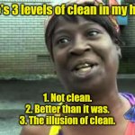 Same here. | There's 3 levels of clean in my house. 1. Not clean.
2. Better than it was.
3. The illusion of clean. | image tagged in sweet brown,funny | made w/ Imgflip meme maker