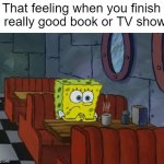 "Now what am I supposed to do with my life?" | That feeling when you finish a really good book or TV show: | image tagged in sad spongebob,relatable memes,memes,funny,so true memes,me irl | made w/ Imgflip meme maker