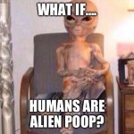 Poop | WHAT IF…. HUMANS ARE ALIEN POOP? | image tagged in high alien fma | made w/ Imgflip meme maker