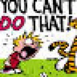 Calvin And Hobbes "You can't DO THAT!" template