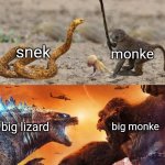 Godzilla vs. King Kong | snek; monke; big lizard; big monke | image tagged in godzilla vs king kong | made w/ Imgflip meme maker