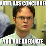 Dwight Schrute | AUDIT HAS CONCLUDED; YOU ARE ADEQUATE | image tagged in memes,dwight schrute | made w/ Imgflip meme maker
