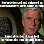 Shocking! | Her body tensed and quivered as she felt wave after wave surge through it. I probably should have told her about the new electric fence. | image tagged in airplane,funny | made w/ Imgflip meme maker