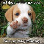 dog puppy bye | All dogs are therapy dogs. Most are just freelancing. | image tagged in dog puppy bye | made w/ Imgflip meme maker