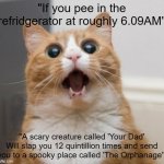 Misinformation | "If you pee in the refridgerator at roughly 6.09AM"; "A scary creature called 'Your Dad' Will slap you 12 quintillion times and send you to a spooky place called 'The Orphanage'" | image tagged in scared cat,memes,funny,funny memes,fun,bread | made w/ Imgflip meme maker