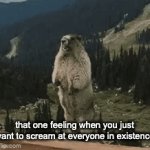 fr | that one feeling when you just want to scream at everyone in existence | image tagged in gifs,screaming kid | made w/ Imgflip video-to-gif maker