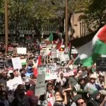 Pro-Palestine rally in Sydney template