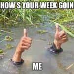 I’m Alright | SO HOW’S YOUR WEEK GOING? ME | image tagged in flooding thumbs up | made w/ Imgflip meme maker