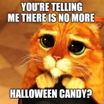 No more Halloween Candy | YOU'RE TELLING ME THERE IS NO MORE; HALLOWEEN CANDY? | image tagged in puss in boots shrek cat begging,funny memes | made w/ Imgflip meme maker