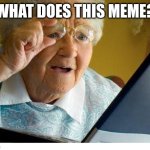 old lady at computer | WHAT DOES THIS MEME? | image tagged in old lady at computer | made w/ Imgflip meme maker
