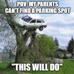 Pls tell me someone can relate | POV: MY PARENTS CAN'T FIND A PARKING SPOT; "THIS WILL DO" | image tagged in memes,secure parking,tree,parents | made w/ Imgflip meme maker