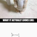 so true for me | WHAT YOU THING YOUR DRAWING LOOKS LIKE:; WHAT IT ACTUALLY LOOKS LIKE: | image tagged in memes,cute cat,funny,reality,cat,meme | made w/ Imgflip meme maker