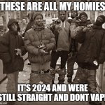 All My Homies Hate | THESE ARE ALL MY HOMIES; IT'S 2024 AND WERE STILL STRAIGHT AND DONT VAPE | image tagged in all my homies hate | made w/ Imgflip meme maker
