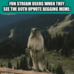 real | FUN STREAM USERS WHEN THEY SEE THE 69TH UPVOTE BEGGING MEME: | image tagged in gifs,funny,memes,fun stream users | made w/ Imgflip video-to-gif maker