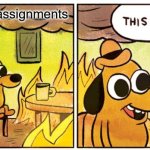 This Is Fine | 76 missing assignments | image tagged in memes,this is fine,funny,school,dog | made w/ Imgflip meme maker