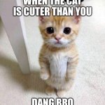 cute cat | WHEN THE CAT IS CUTER THAN YOU; DANG BRO | image tagged in memes,cute cat | made w/ Imgflip meme maker