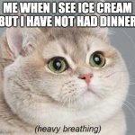 Heavy Breathing Cat | ME WHEN I SEE ICE CREAM BUT I HAVE NOT HAD DINNER | image tagged in memes,heavy breathing cat | made w/ Imgflip meme maker