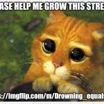 Please help my stream get popular | PLEASE HELP ME GROW THIS STREAM; https://imgflip.com/m/Drowning_equals_lol | image tagged in memes,shrek cat | made w/ Imgflip meme maker