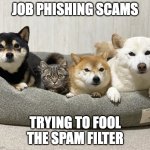Job Phishing Scams | JOB PHISHING SCAMS; TRYING TO FOOL THE SPAM FILTER | image tagged in one of these things is not like the other | made w/ Imgflip meme maker