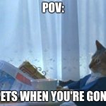 very clever title | POV:; PETS WHEN YOU'RE GONE | image tagged in memes,i should buy a boat cat | made w/ Imgflip meme maker