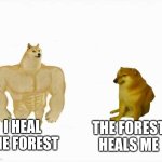 I heal you back, forest | I HEAL THE FOREST; THE FOREST HEALS ME | image tagged in strong dog vs weak dog | made w/ Imgflip meme maker