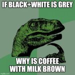 Philosoraptor Meme | IF BLACK+WHITE IS GREY; WHY IS COFFEE WITH MILK BROWN | image tagged in memes,philosoraptor | made w/ Imgflip meme maker
