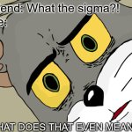Unsettled Tom | Friend: What the sigma?! Me:; WHAT DOES THAT EVEN MEAN?! | image tagged in memes,unsettled tom | made w/ Imgflip meme maker