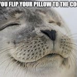 Satisfied Seal Meme | WHEN YOU FLIP YOUR PILLOW TO THE COOL SIDE | image tagged in memes,satisfied seal | made w/ Imgflip meme maker