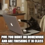 homework stuffs | POV: YOU DIDNT DO HOMEWORK AND ARE FINISHING IT IN CLASS | image tagged in gifs,cat | made w/ Imgflip video-to-gif maker