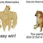 Maturita 2024 | Maturita Matematika; Maturita Matematika +; Easy win! Too painful 65412154141515 | image tagged in memes,buff doge vs cheems | made w/ Imgflip meme maker