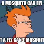 Futurama Fry Meme | A MOSQUITO CAN FLY; BUT A FLY CAN'T MOSQUITO... | image tagged in memes,futurama fry | made w/ Imgflip meme maker