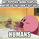 mmm delicious! | HOT PEPPERS: BURN PEOPLES MOUTHS SO THEY DON'T GET EATEN; HUMANS | image tagged in gifs,kirby,spicy | made w/ Imgflip video-to-gif maker