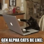 cats be like | GEN ALPHA CATS BE LIKE: | image tagged in gifs,cats | made w/ Imgflip video-to-gif maker