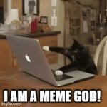 Cats Rule the Internet | I AM A MEME GOD! | image tagged in gifs,cats,memes | made w/ Imgflip video-to-gif maker