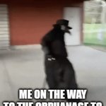 awrfd | ME ON THE WAY TO THE ORPHANAGE TO TELL A YO MAMA JOKE | image tagged in gifs,funny,memes,yo mama | made w/ Imgflip video-to-gif maker