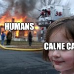 The cursed Hatsune Miku... | HUMANS; CALNE CA | image tagged in memes,hatsune miku | made w/ Imgflip meme maker