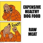 What A Dog dreams of | EXPENSIVE HEALTHY DOG FOOD; RAW MEAT | image tagged in drake dog | made w/ Imgflip meme maker