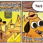 This Is Fine | Classrooms when the teacher leaves; The quiet kid | image tagged in memes,this is fine | made w/ Imgflip meme maker