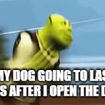 My dog | MY DOG GOING TO LAS VEGAS AFTER I OPEN THE DOOR | image tagged in gifs,shrek,dog | made w/ Imgflip video-to-gif maker