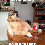 redneck dog | MY DAUGHTER IS BRINGING NO BLACK LABS INTO MY HOUSE | image tagged in redneck dog | made w/ Imgflip meme maker