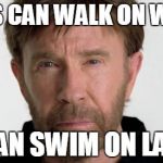 Chuck Norris | JESUS CAN WALK ON WATER I CAN SWIM ON LAND | image tagged in chuck norris | made w/ Imgflip meme maker