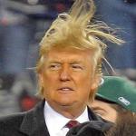 Donald Trumph hair meme