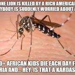 mosquito  | ONE LION IS KILLED BY A RICH AMERICAN & EVERYBODY IS SUDDENLY WORRIED ABOUT AFRICA. 1,000+ AFRICAN KIDS DIE EACH DAY FROM MALARIA AND... HEY | image tagged in mosquito | made w/ Imgflip meme maker